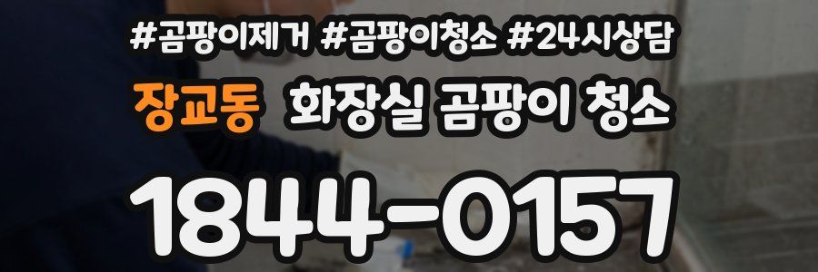 장교동 화장실 곰팡이 청소