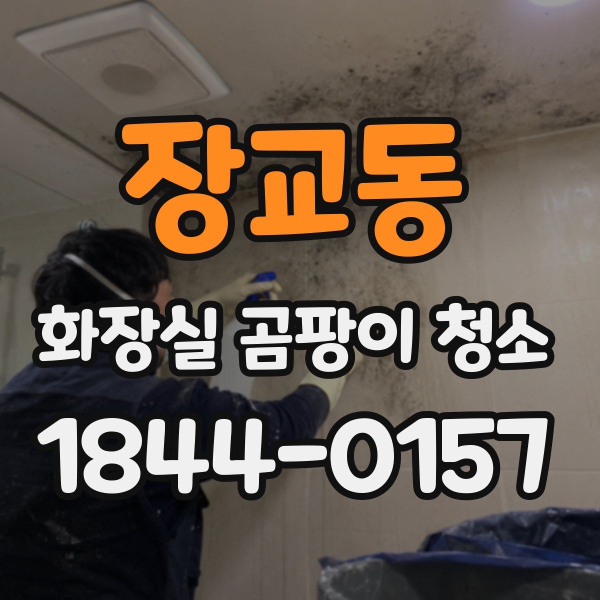 장교동 화장실 곰팡이 청소
