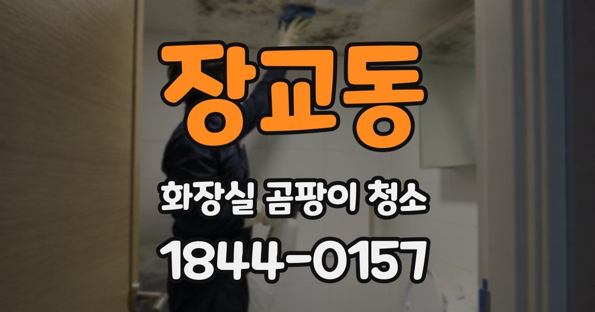 장교동 화장실 곰팡이 청소