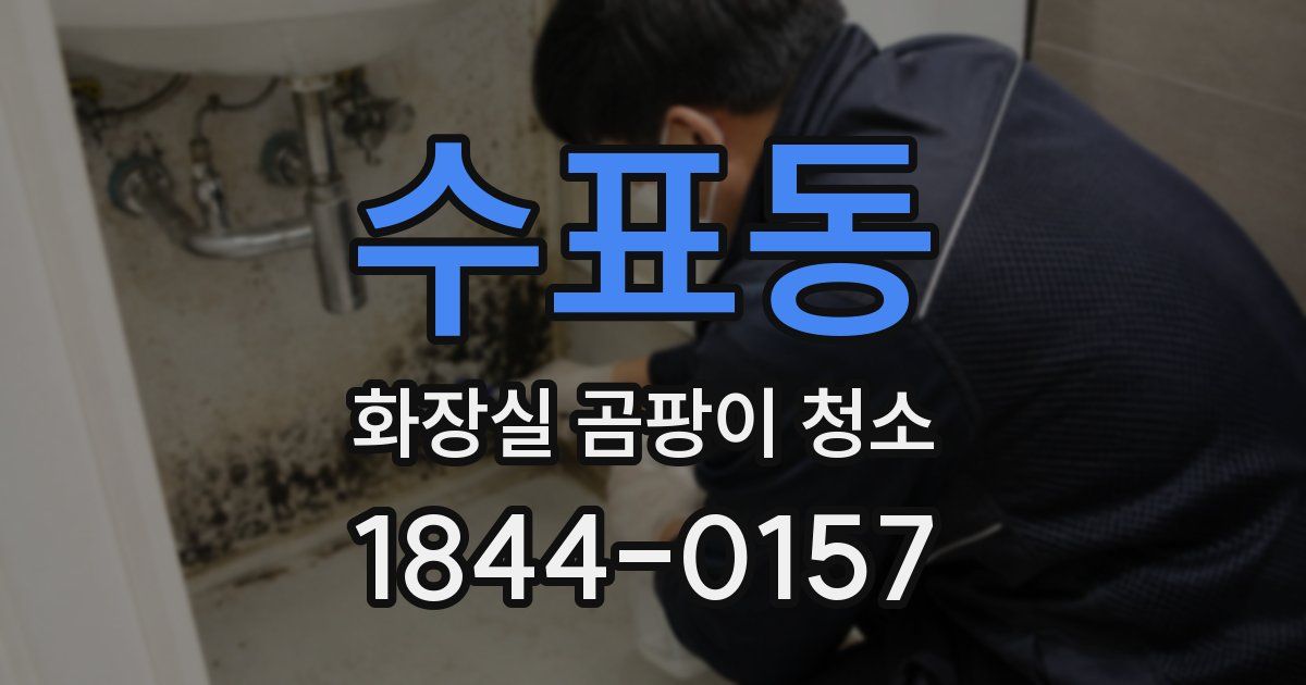 수표동 화장실 곰팡이 청소