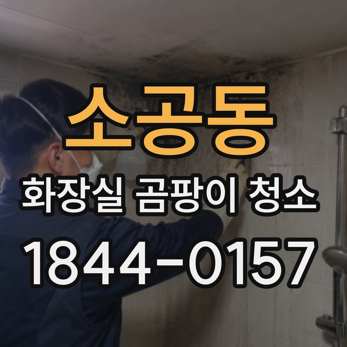 소공동 화장실 곰팡이 청소