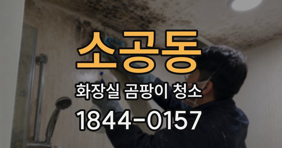 소공동 화장실 곰팡이 청소