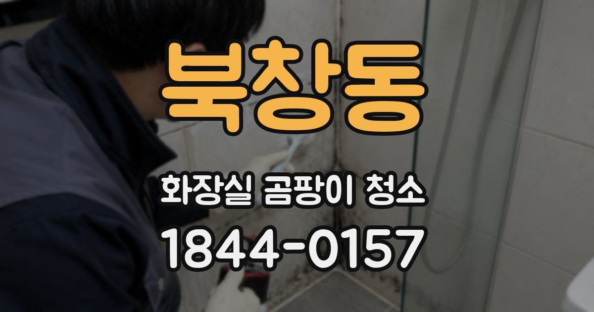 북창동 화장실 곰팡이 청소