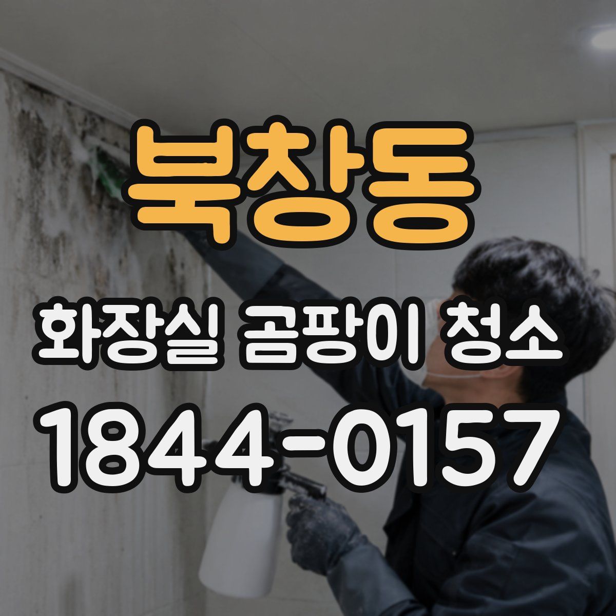 북창동 화장실 곰팡이 청소