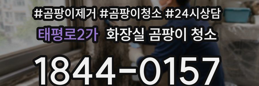 태평로2가 화장실 곰팡이 청소