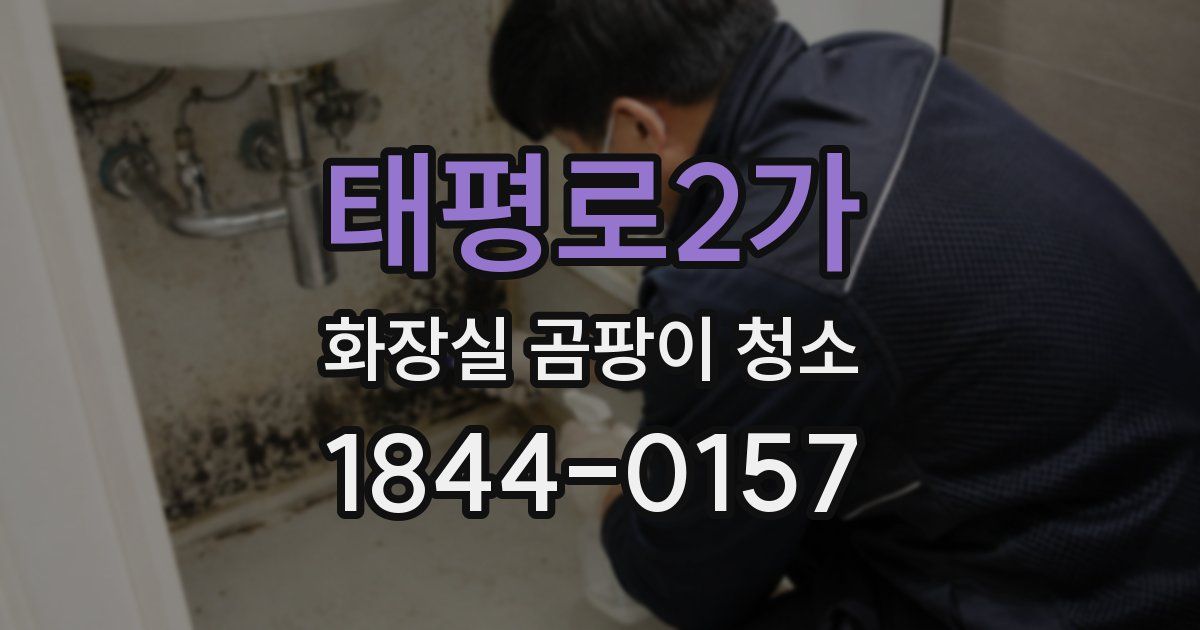 태평로2가 화장실 곰팡이 청소
