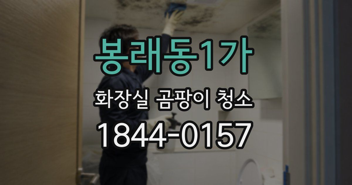 봉래동1가 화장실 곰팡이 청소