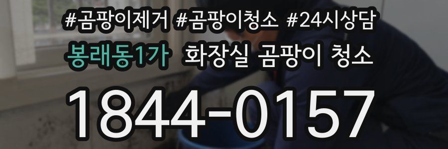 봉래동1가 화장실 곰팡이 청소