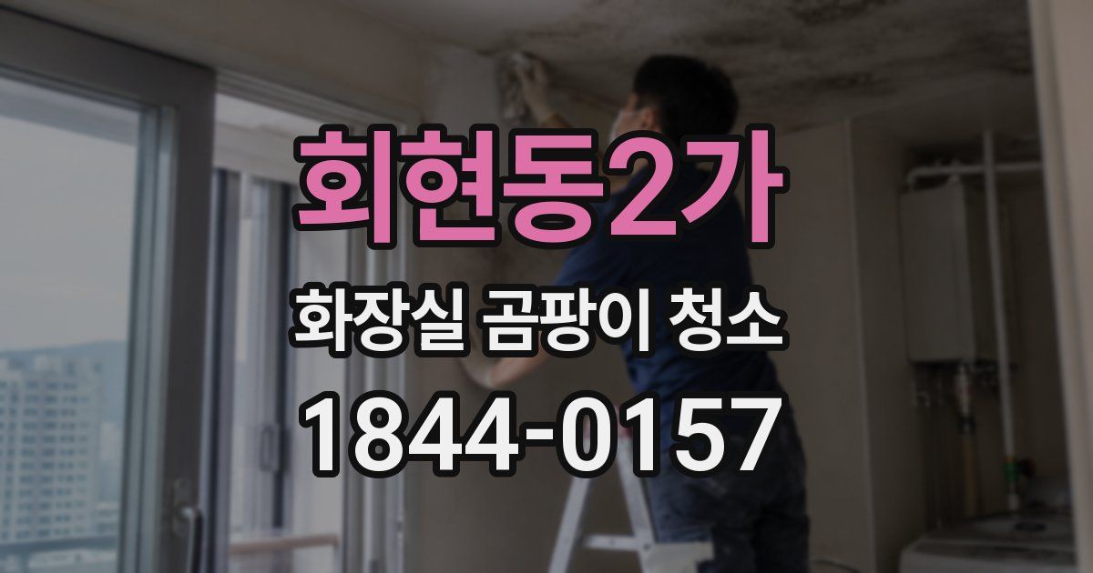 회현동2가 화장실 곰팡이 청소