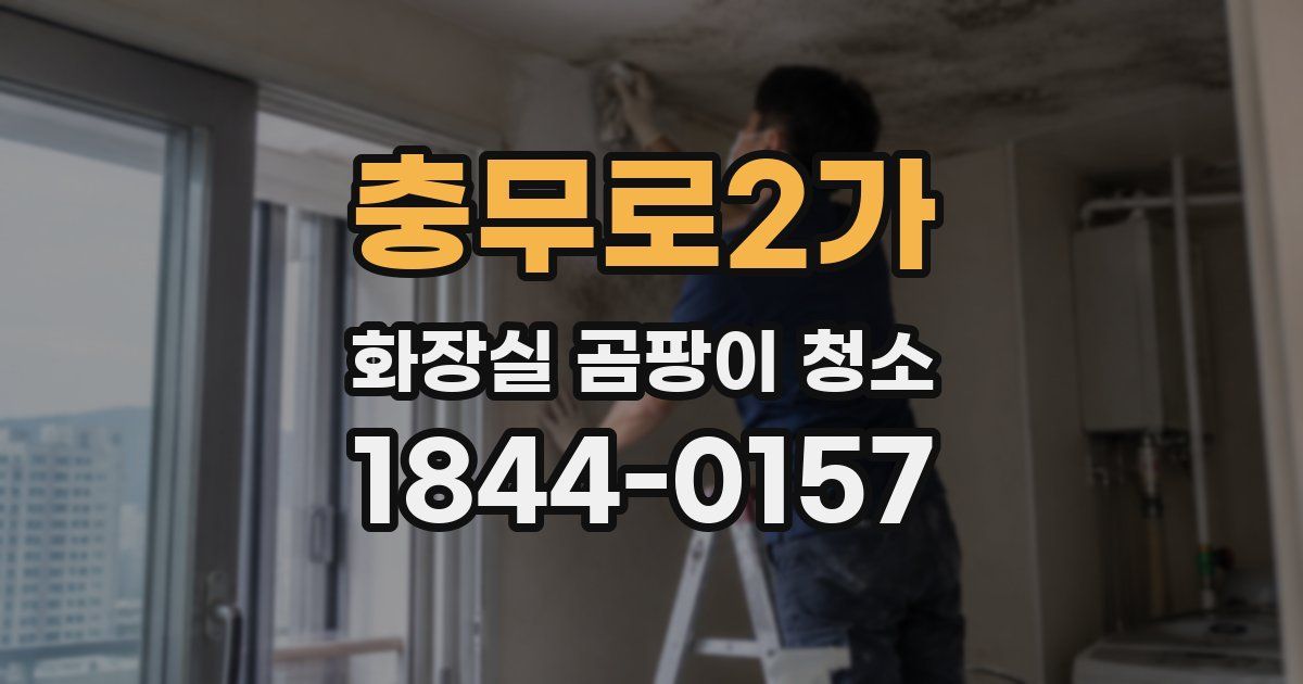 충무로2가 화장실 곰팡이 청소