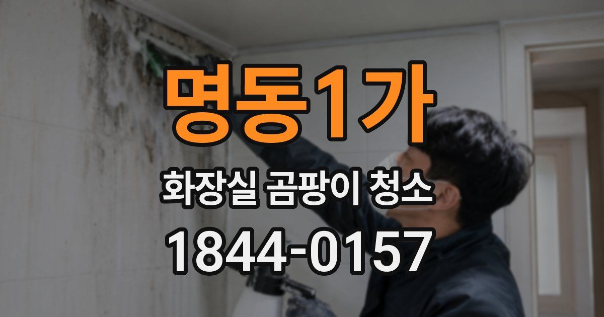 명동1가 화장실 곰팡이 청소