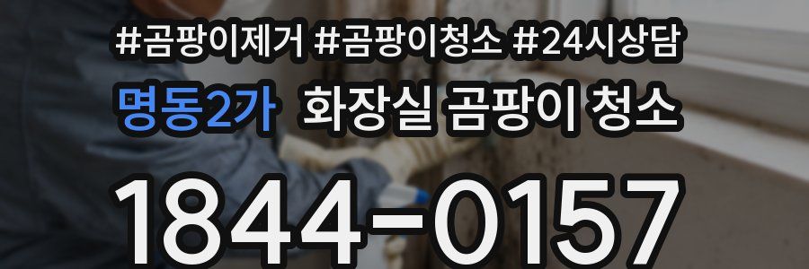 명동2가 화장실 곰팡이 청소