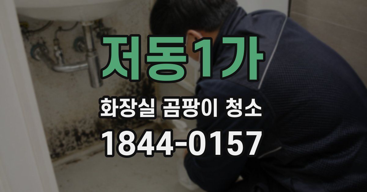 저동1가 화장실 곰팡이 청소