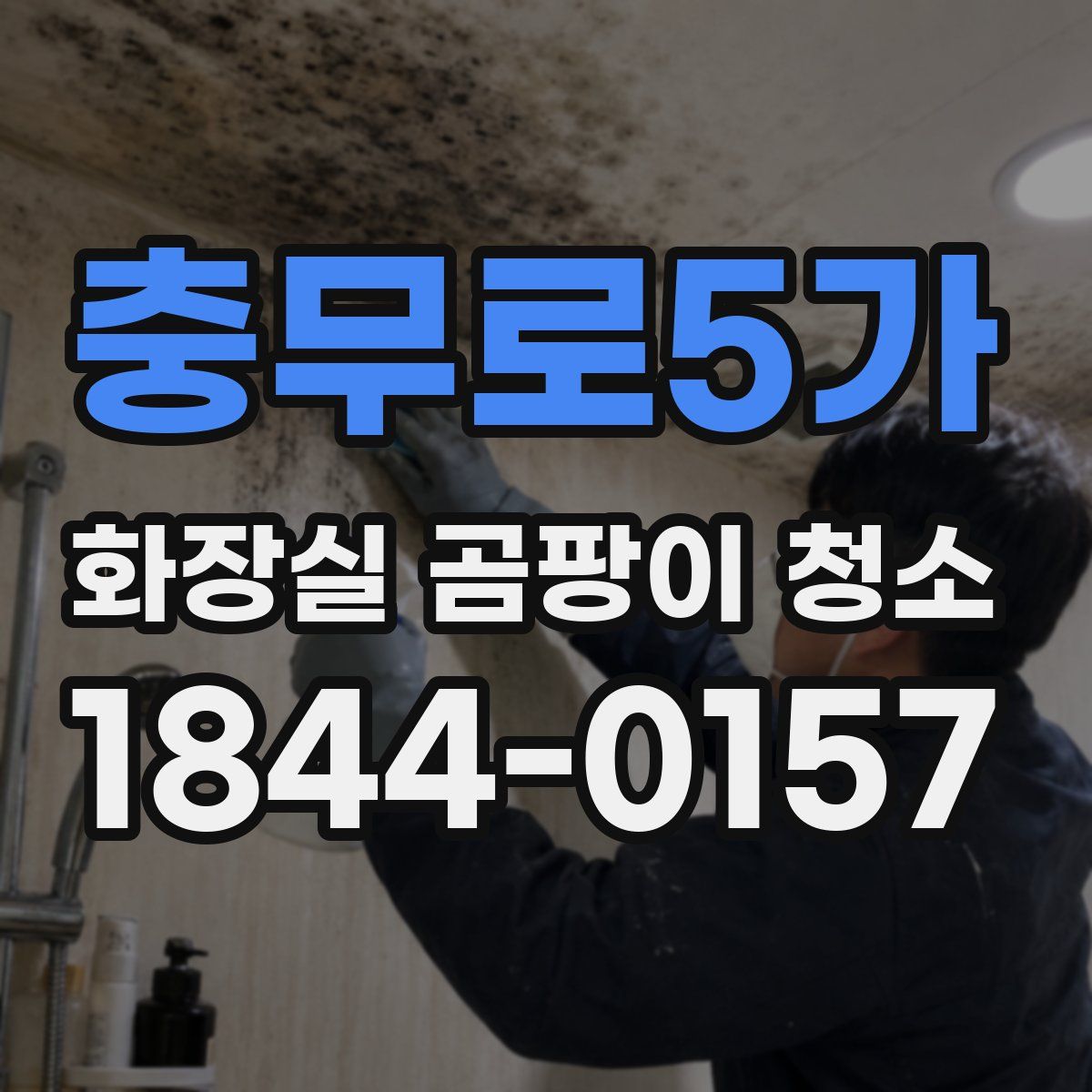 충무로5가 화장실 곰팡이 청소
