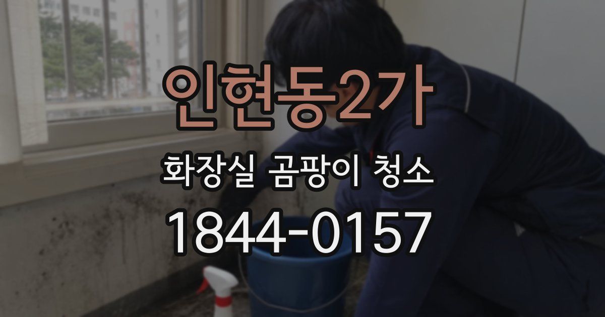 인현동2가 화장실 곰팡이 청소