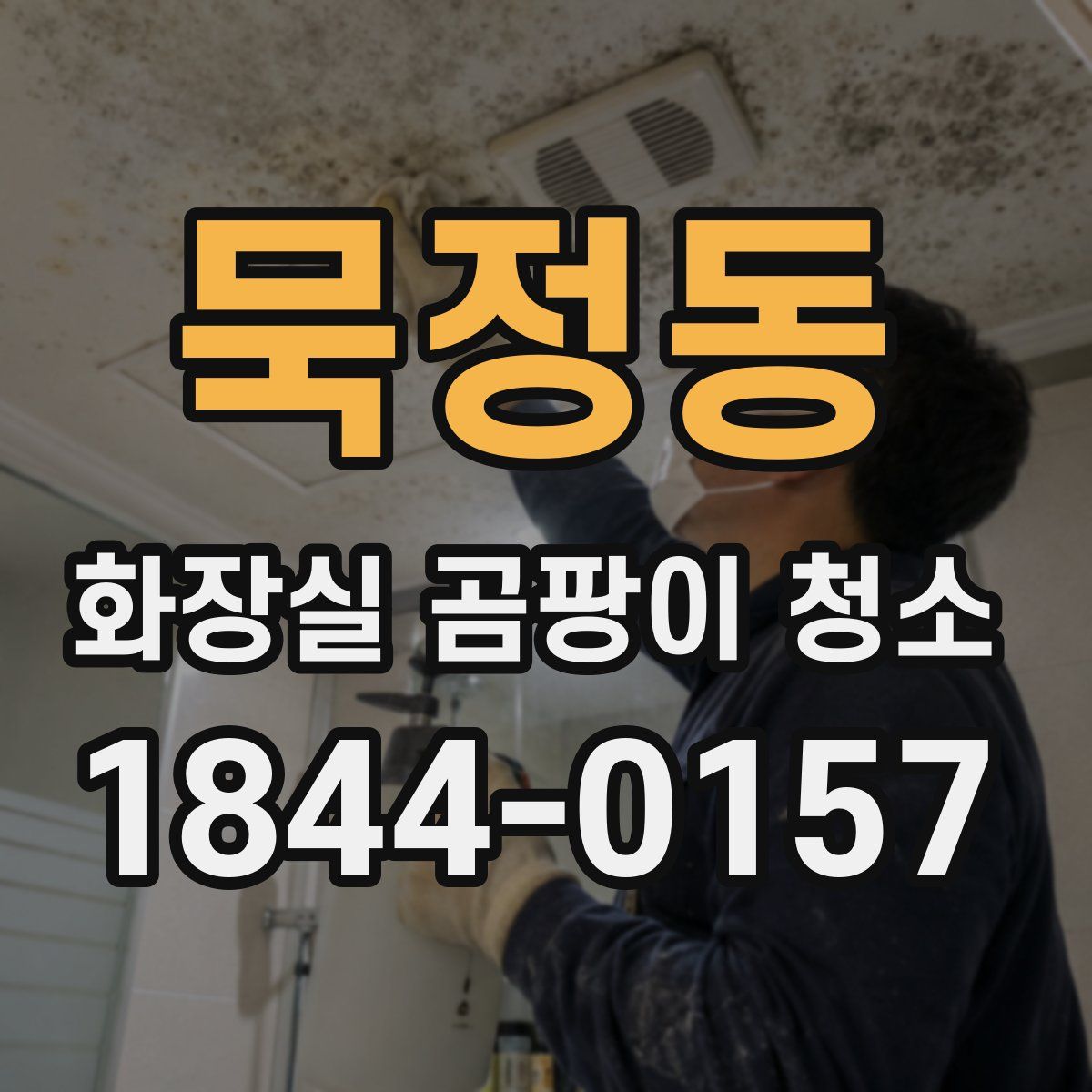 묵정동 화장실 곰팡이 청소