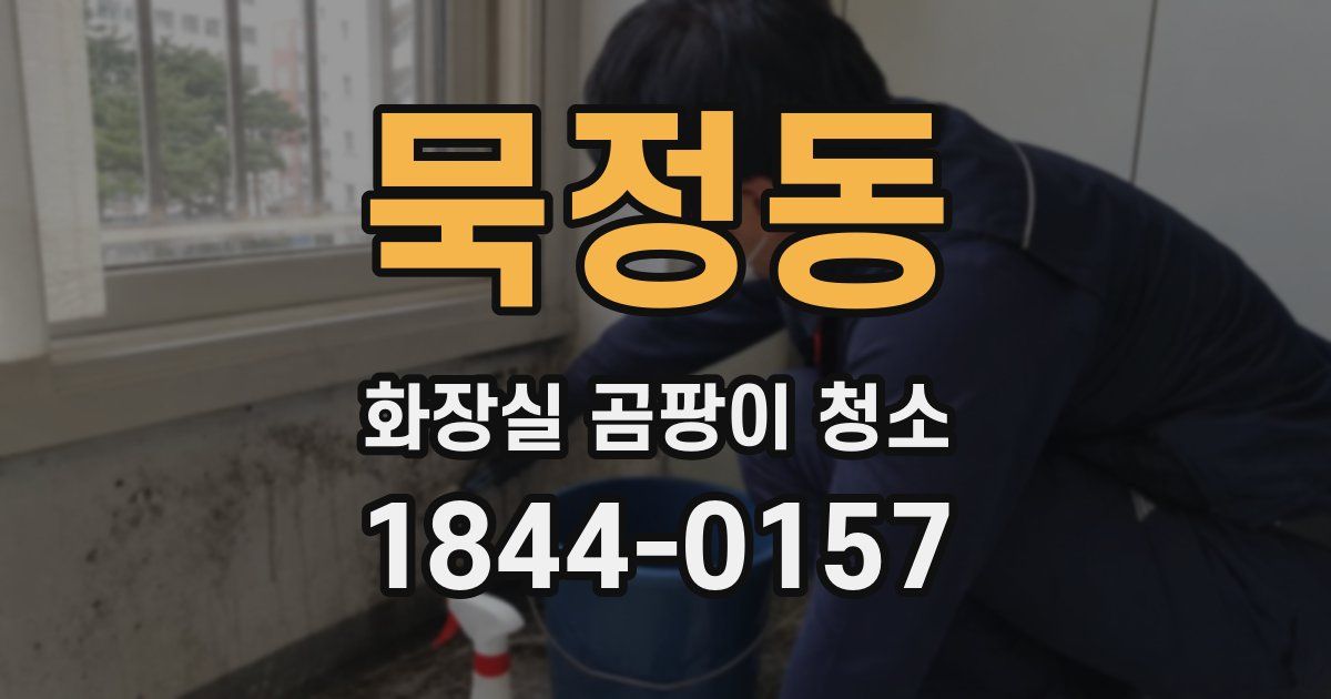 묵정동 화장실 곰팡이 청소