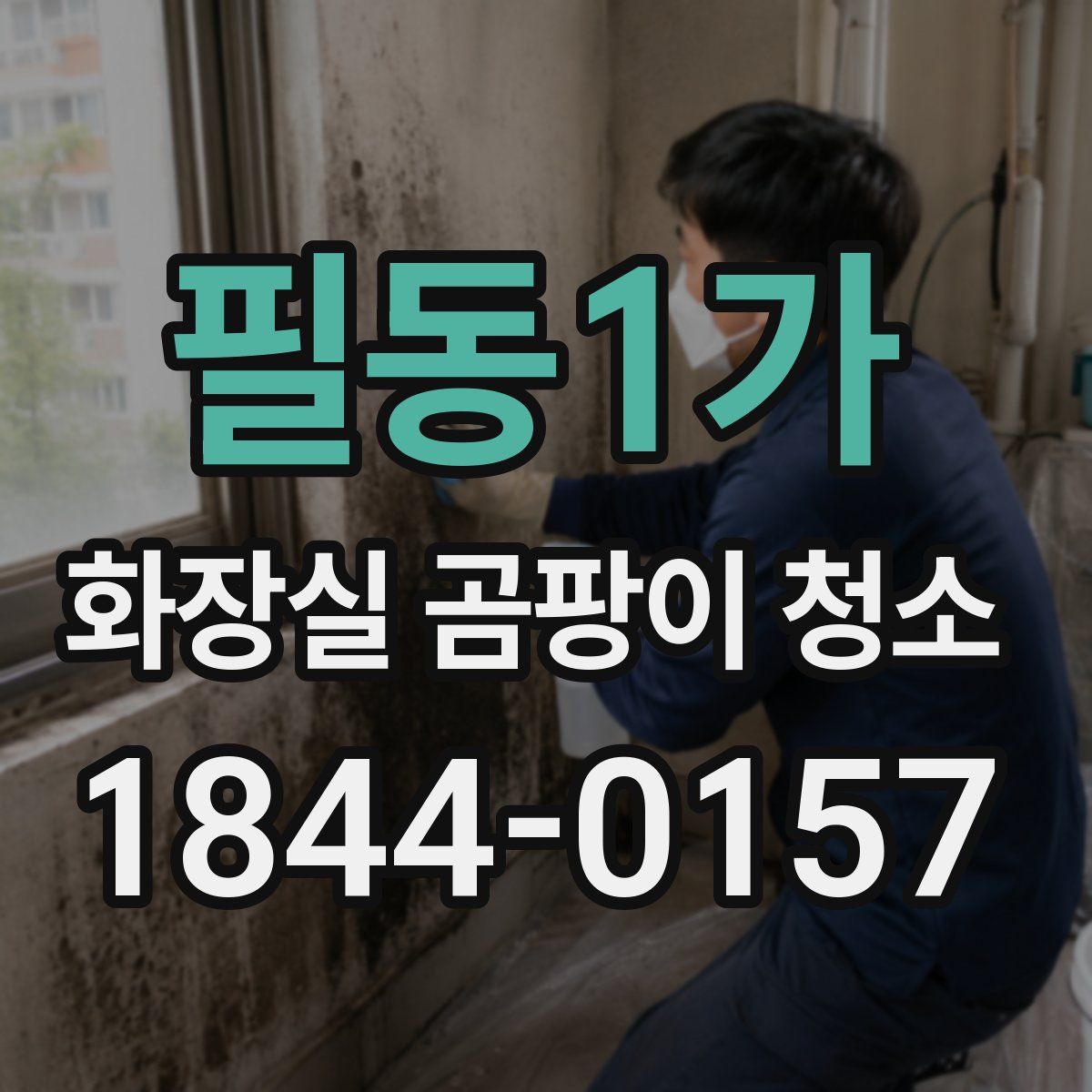 필동1가 화장실 곰팡이 청소