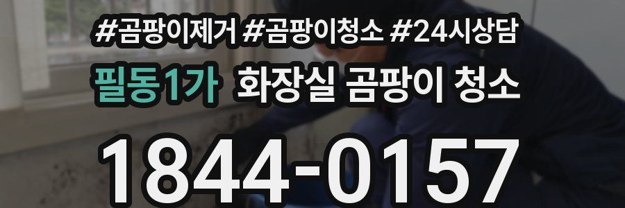 필동1가 화장실 곰팡이 청소
