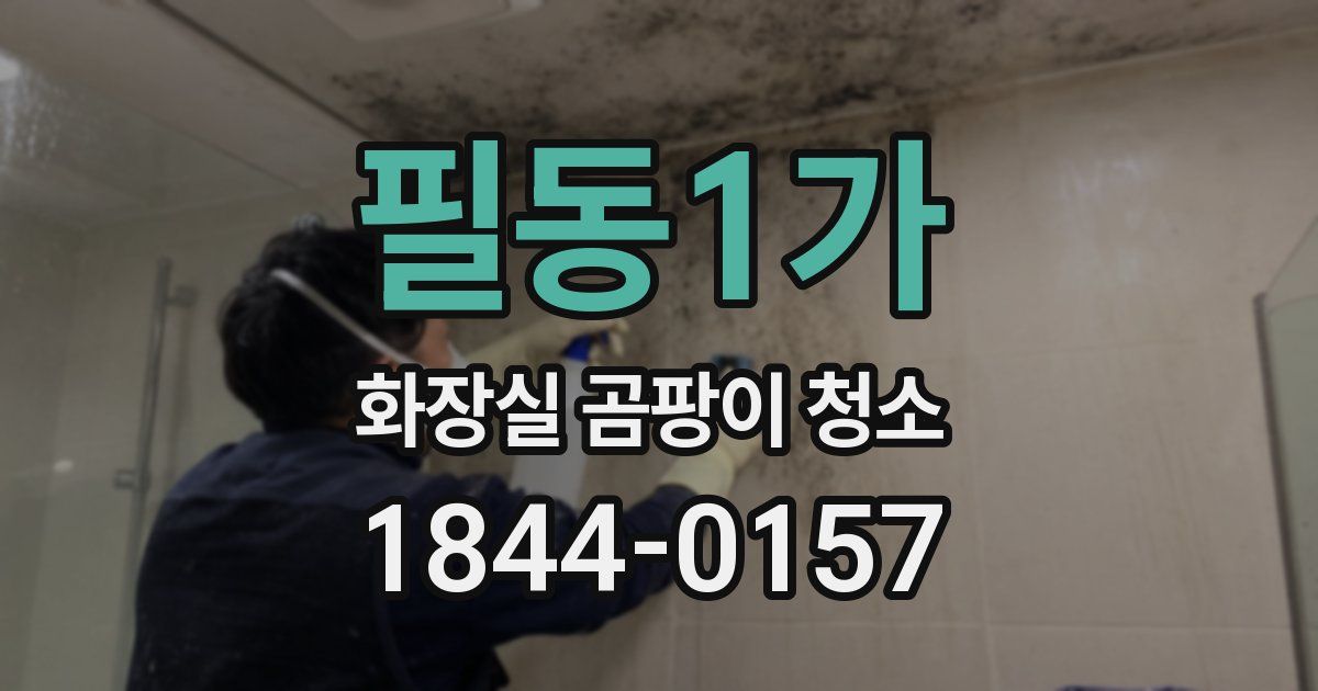 필동1가 화장실 곰팡이 청소