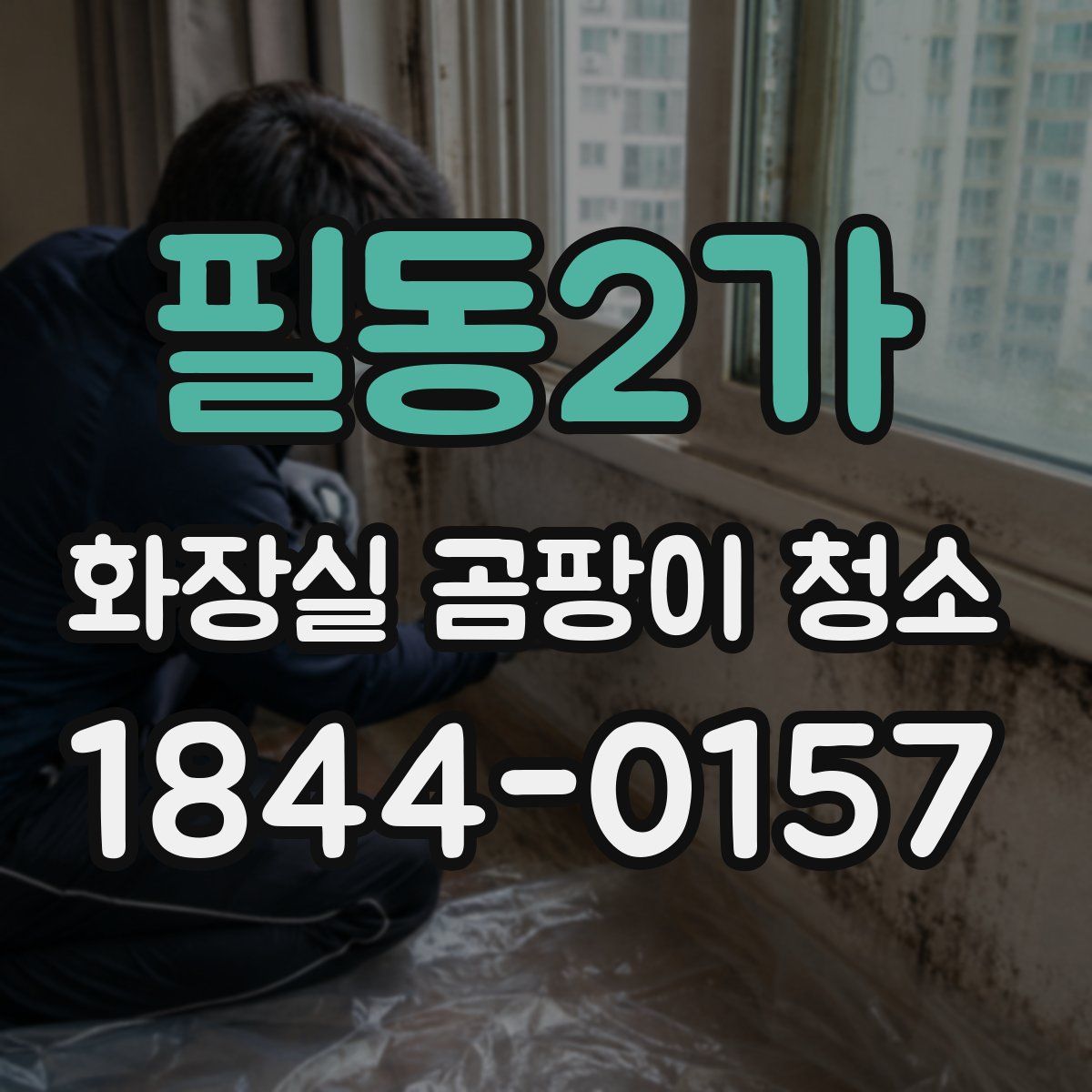 필동2가 화장실 곰팡이 청소