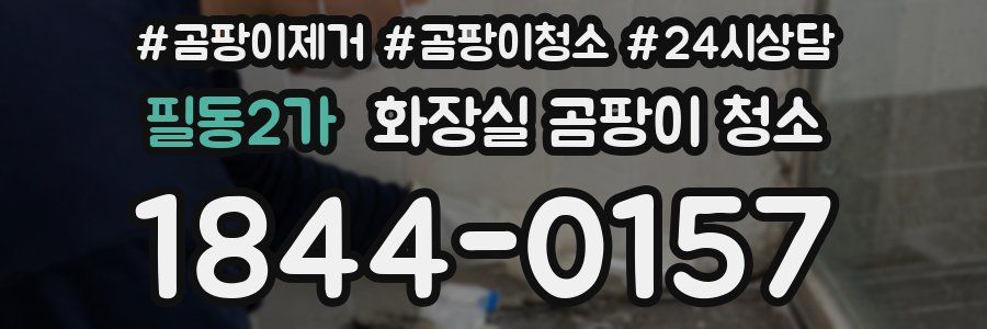 필동2가 화장실 곰팡이 청소