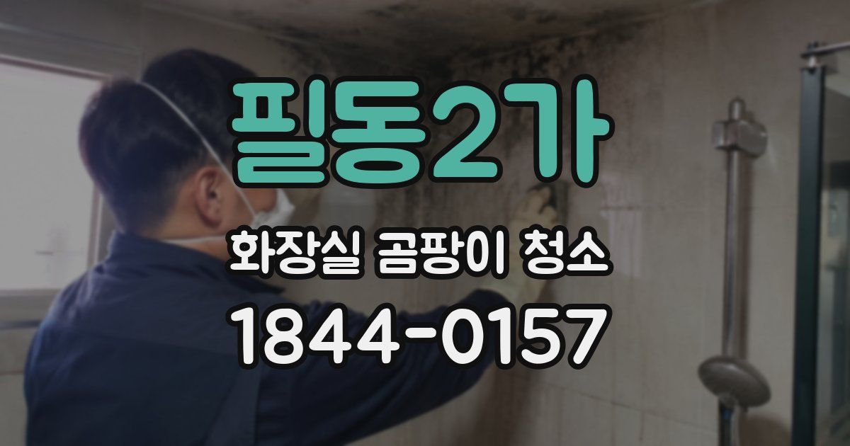 필동2가 화장실 곰팡이 청소