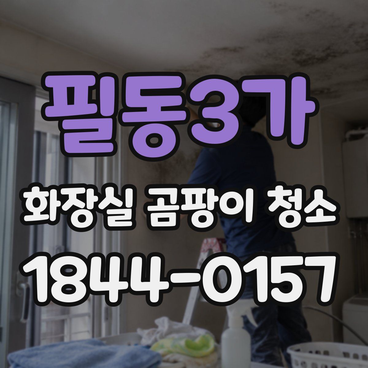 필동3가 화장실 곰팡이 청소