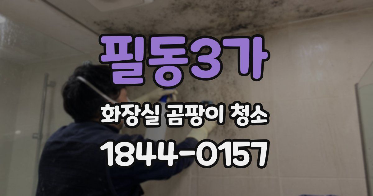 필동3가 화장실 곰팡이 청소