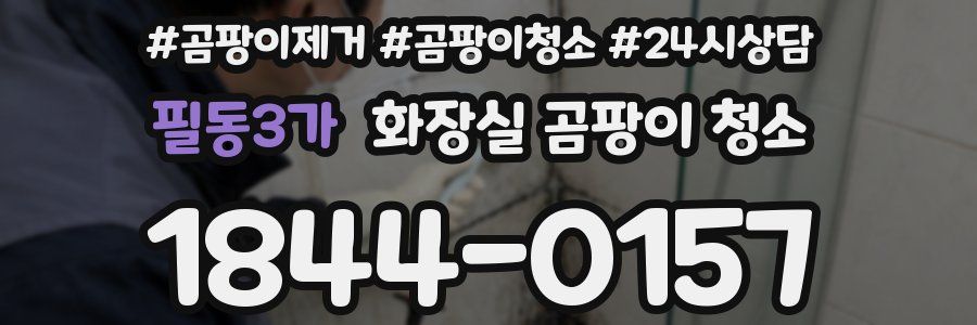필동3가 화장실 곰팡이 청소