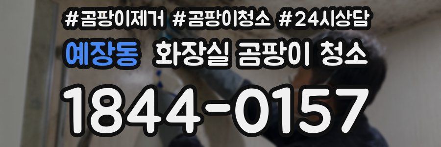 예장동 화장실 곰팡이 청소