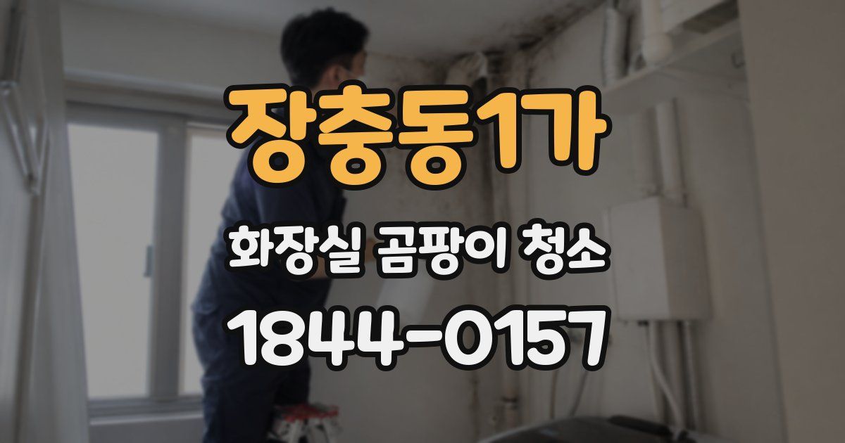 장충동1가 화장실 곰팡이 청소