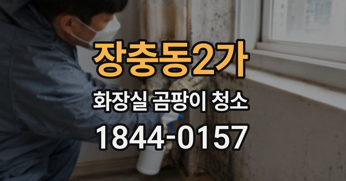 장충동2가 화장실 곰팡이 청소