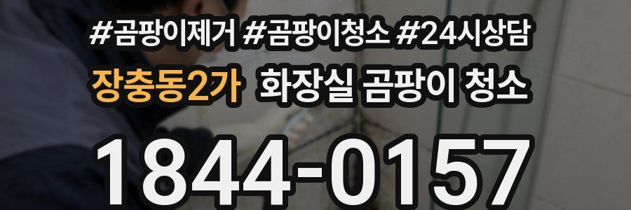 장충동2가 화장실 곰팡이 청소
