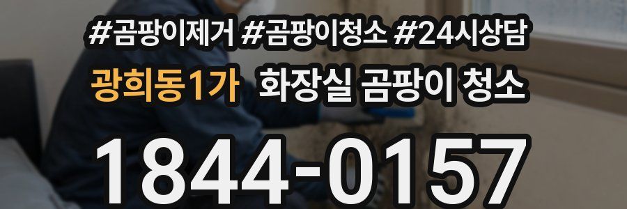 광희동1가 화장실 곰팡이 청소
