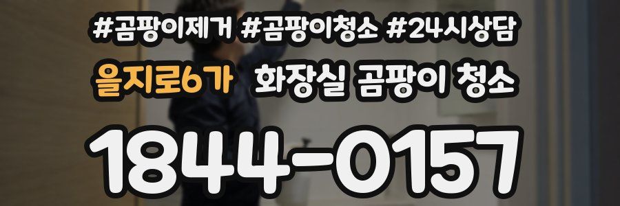 을지로6가 화장실 곰팡이 청소