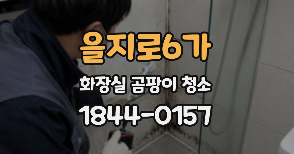 을지로6가 화장실 곰팡이 청소