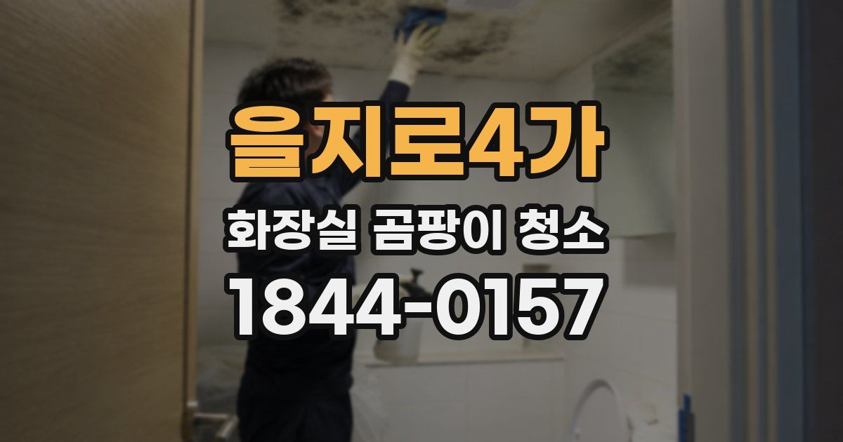 을지로4가 화장실 곰팡이 청소