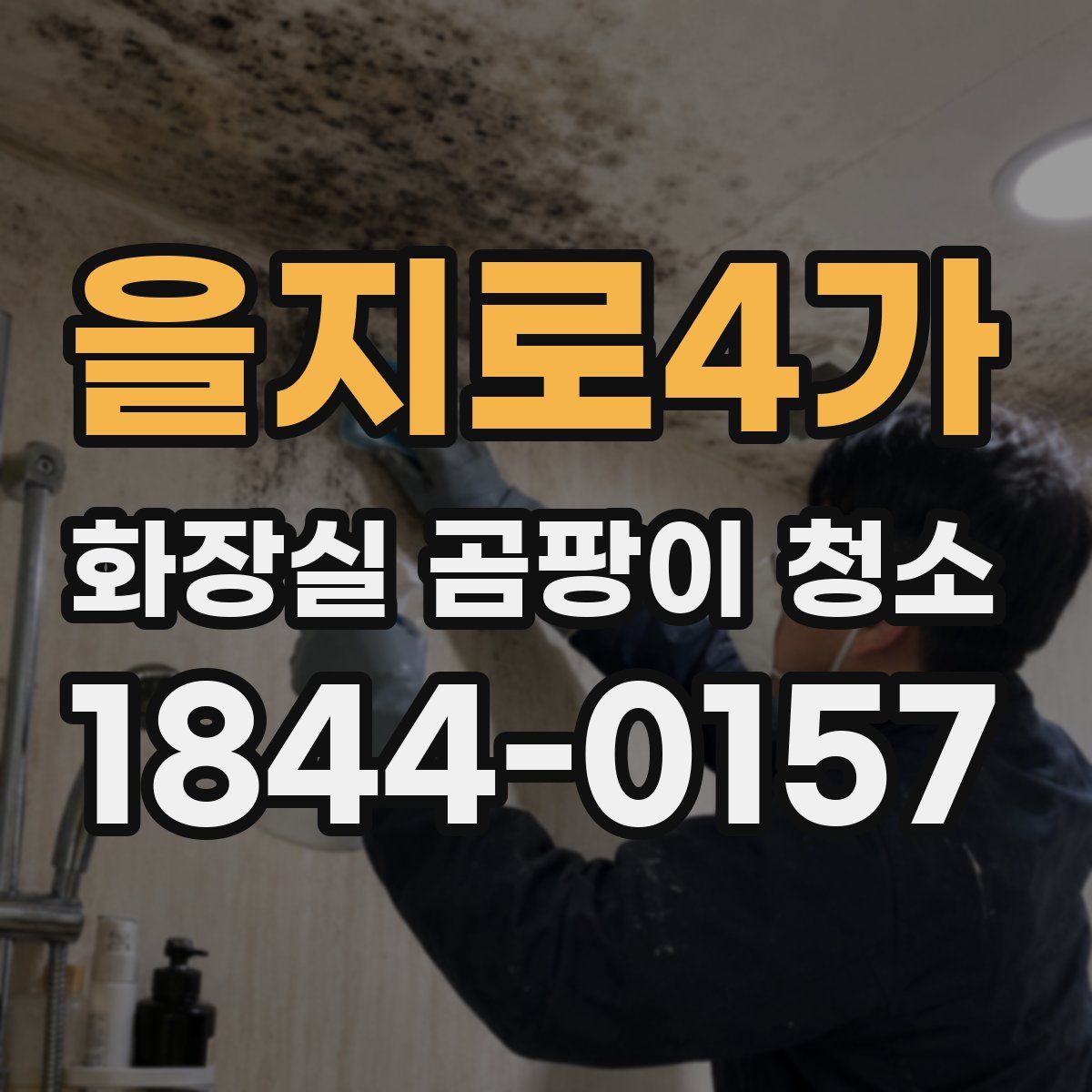 을지로4가 화장실 곰팡이 청소