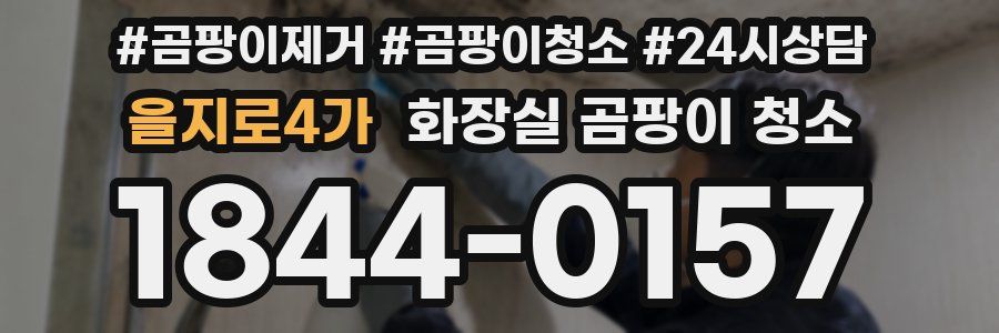 을지로4가 화장실 곰팡이 청소