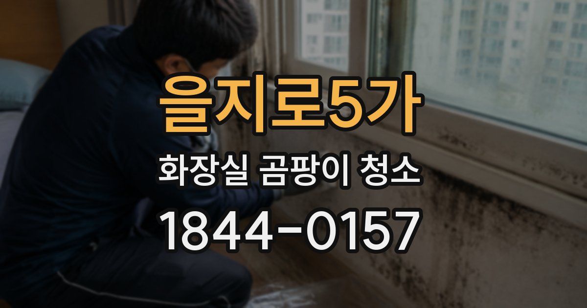 을지로5가 화장실 곰팡이 청소