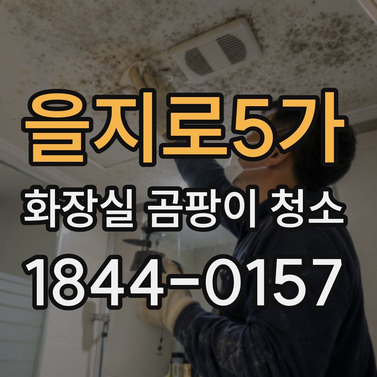 을지로5가 화장실 곰팡이 청소