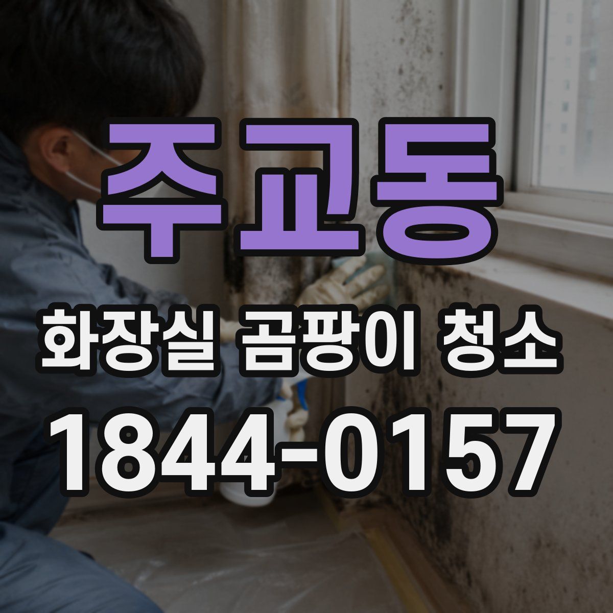 주교동 화장실 곰팡이 청소