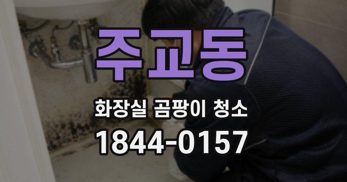 주교동 화장실 곰팡이 청소