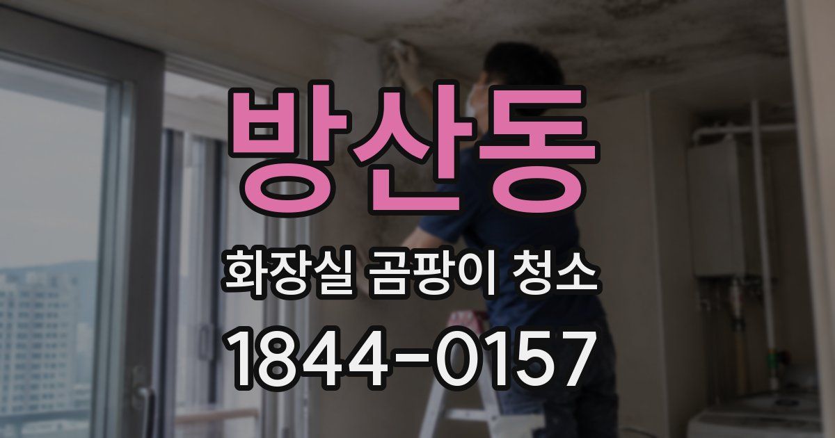 방산동 화장실 곰팡이 청소