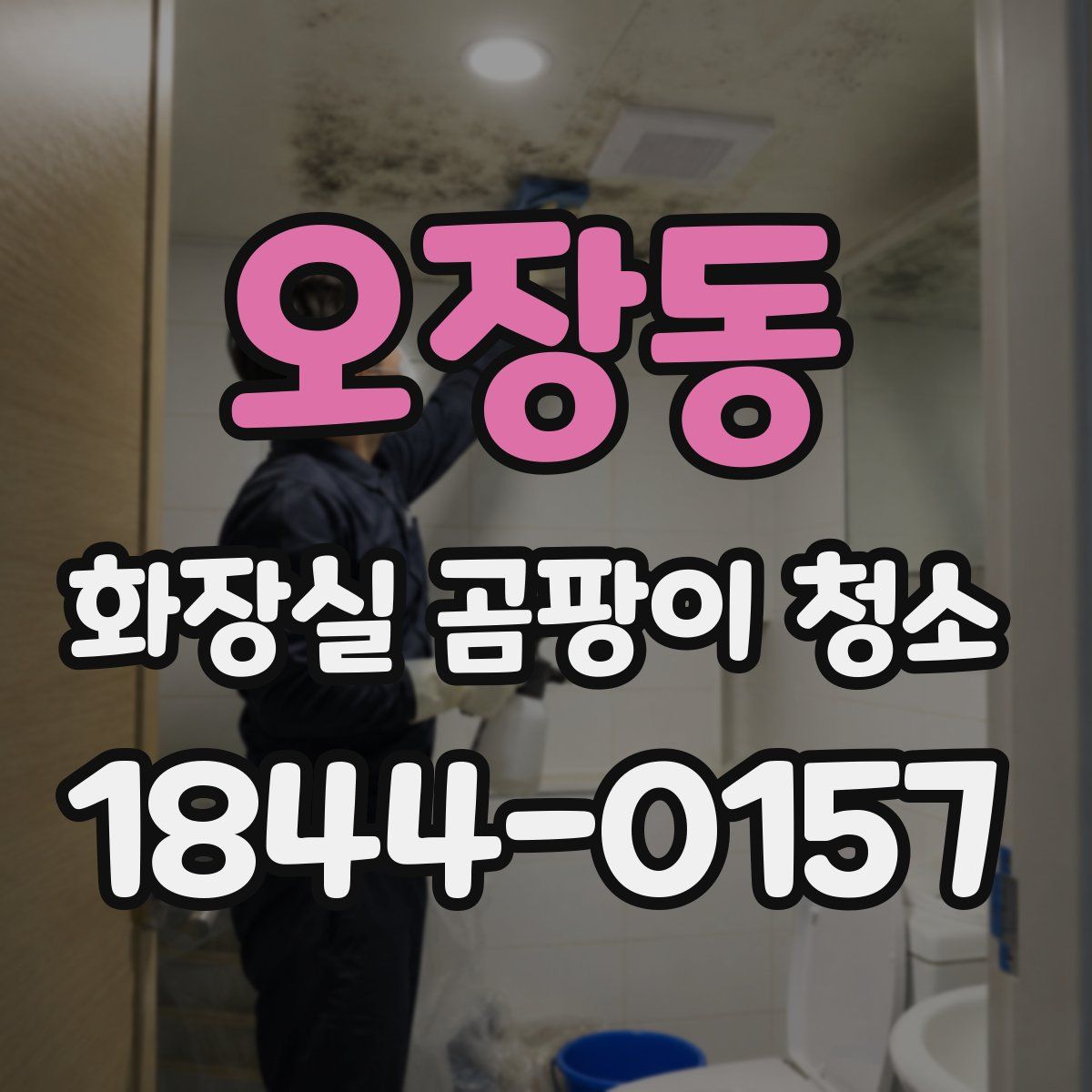 오장동 화장실 곰팡이 청소