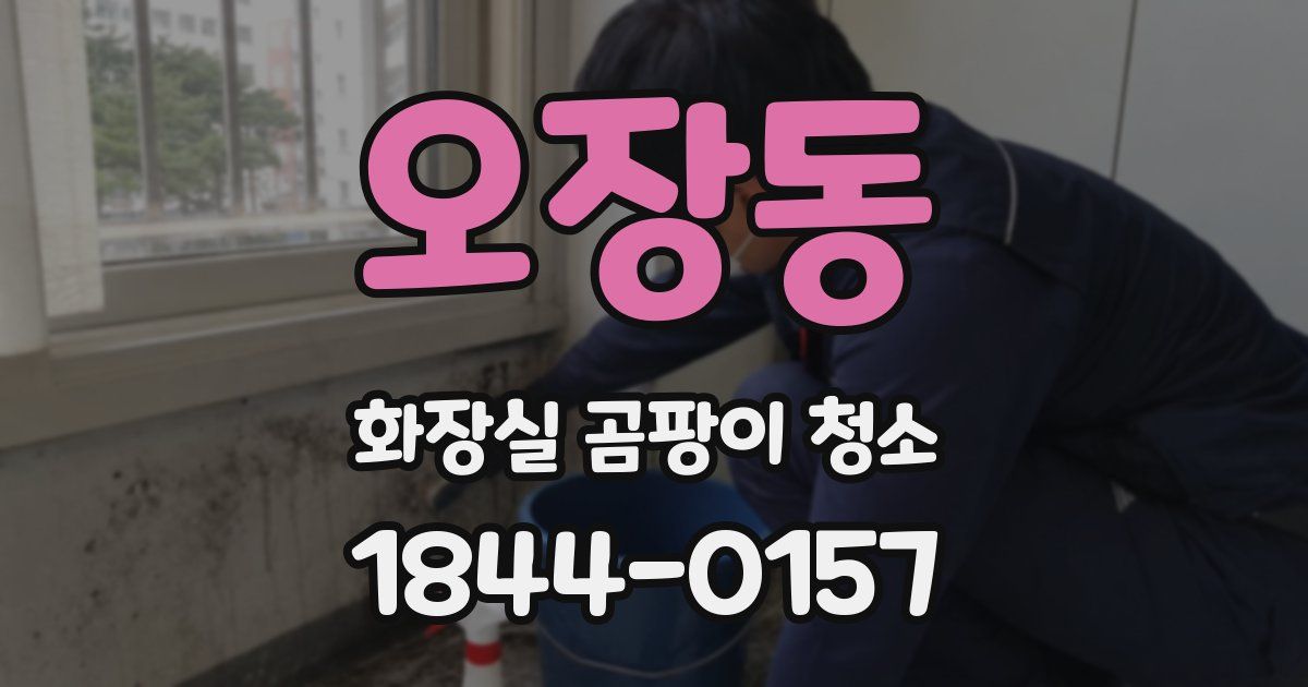 오장동 화장실 곰팡이 청소