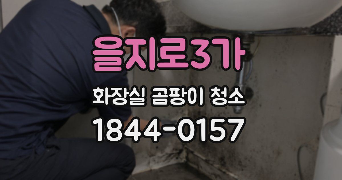 을지로3가 화장실 곰팡이 청소