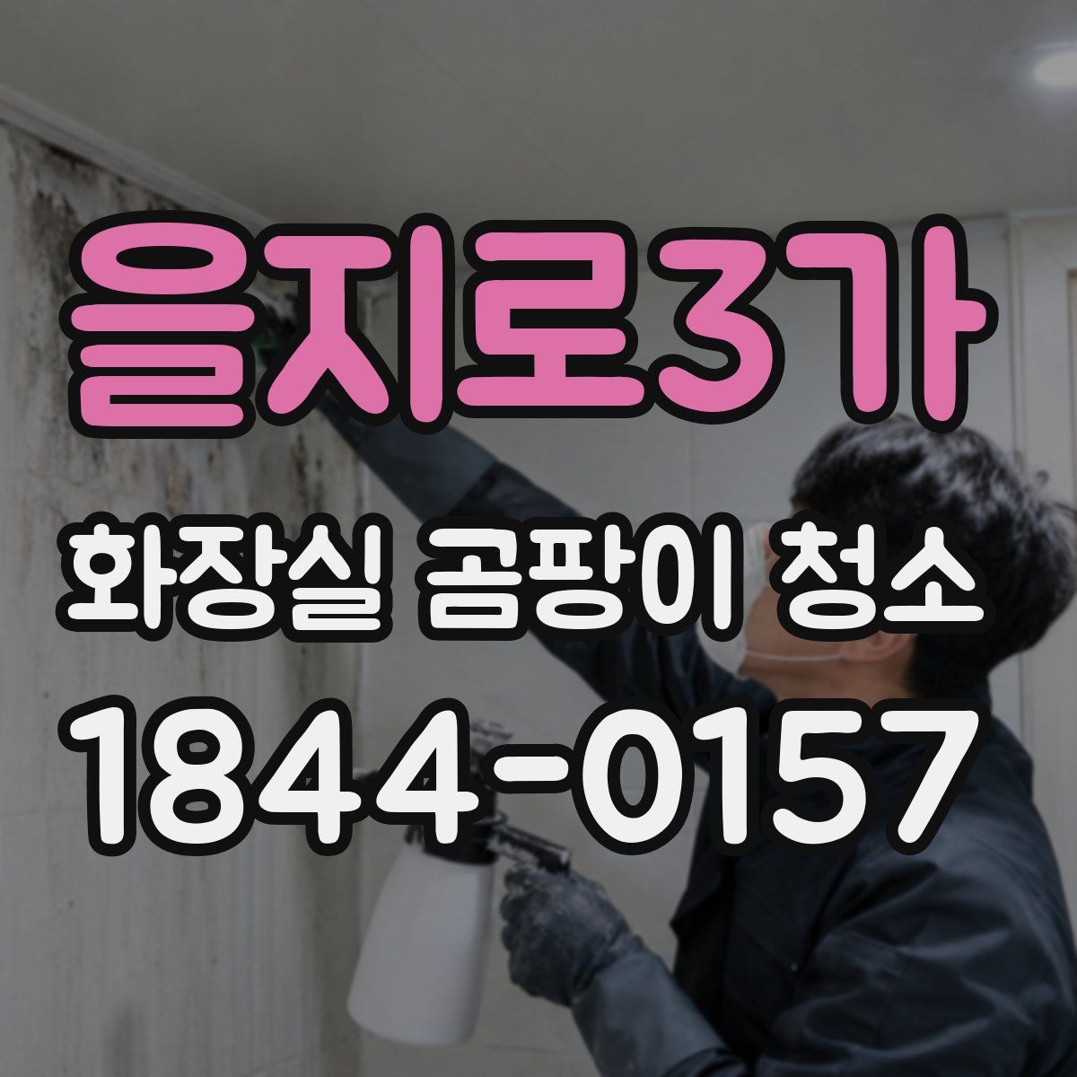 을지로3가 화장실 곰팡이 청소