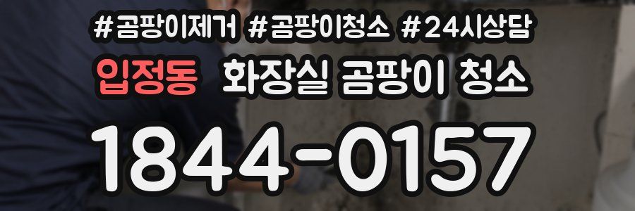 입정동 화장실 곰팡이 청소